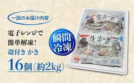 冷凍が嬉しい！【全3回定期便】やながわ自慢！ 殻付き 牡蠣 16個(瞬間冷凍) かき 海鮮 和食 海産物 簡単 レシピ 広島県産 江田島市/マルサ・やながわ水産有限会社[XBL012]