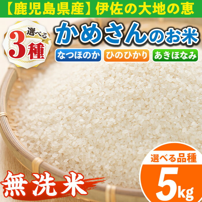 【ふるさと納税】《選べる品種・数量限定》かめさんのお米(5kg・なつほのかorひのひかりorあきほなみ・無洗米) 国産 白米 精米 無洗米 伊佐米 お米 米 生産者 なつほのか ひのひかり あきほなみ ナツホノカ ヒノヒカリ アキホナミ 新米 5kg 【Farm-K】