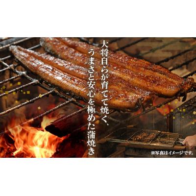 ふるさと納税 香南市 【12回定期便】うなぎ蒲焼き120g 1尾(無頭) Wun-0022 |  | 01