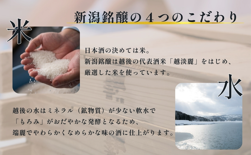 日本酒 デリシャス長さん (720ml×2本) カラフルでPOPなラベルデザイン 新潟銘醸 【0002-0258-01】