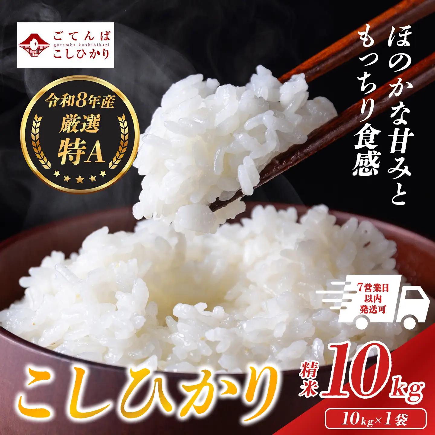先行予約 令和8年産 精米 こしひかり 10kg コシヒカリ