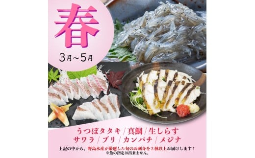 選べる回数 刺身 定期便 2回 産地直送 刺身 カット済み 高知 厳選 お任せ 春夏秋冬 お楽しみ 冷凍 野島水産 かんたん解凍 お手軽 かつおタタキ 真鯛 ブリ マグロ 生しらす ( ドロメ ) カ