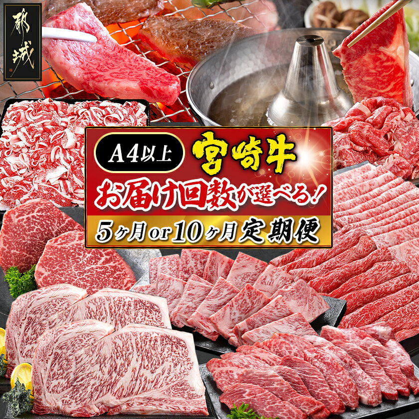 宮崎牛定期便（5ヶ月） - ブランド牛肉 国産黒毛和牛 赤身 バラ 切り落とし サーロインステーキ 焼き肉 様々な宮崎牛の部位を5ヶ月間毎月お届け 送料無料 T60-0102【宮崎県都城市は令和2年度ふるさと納税日本一！】