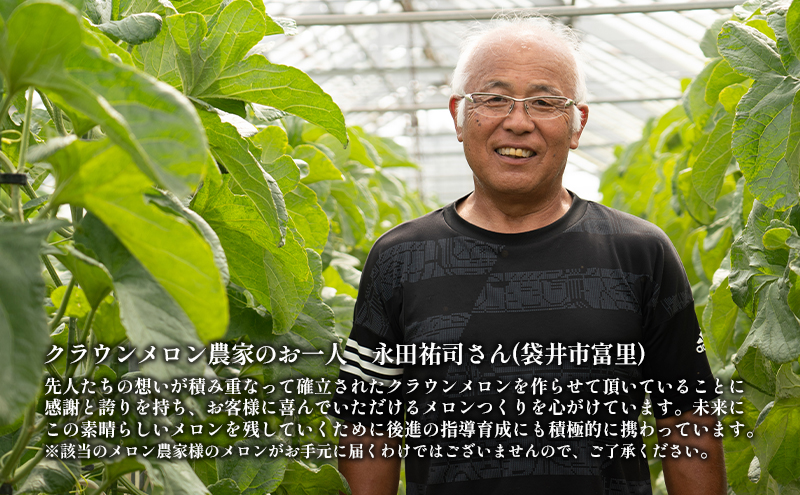 クラウンメロン【並（白等級）】中玉（1.3kg前後）1玉入り 定期便6ヶ月 人気 厳選 ギフト 贈り物 デザート グルメ 果物 袋井市 果物類 メロン青肉 フルーツ 6回 半年 