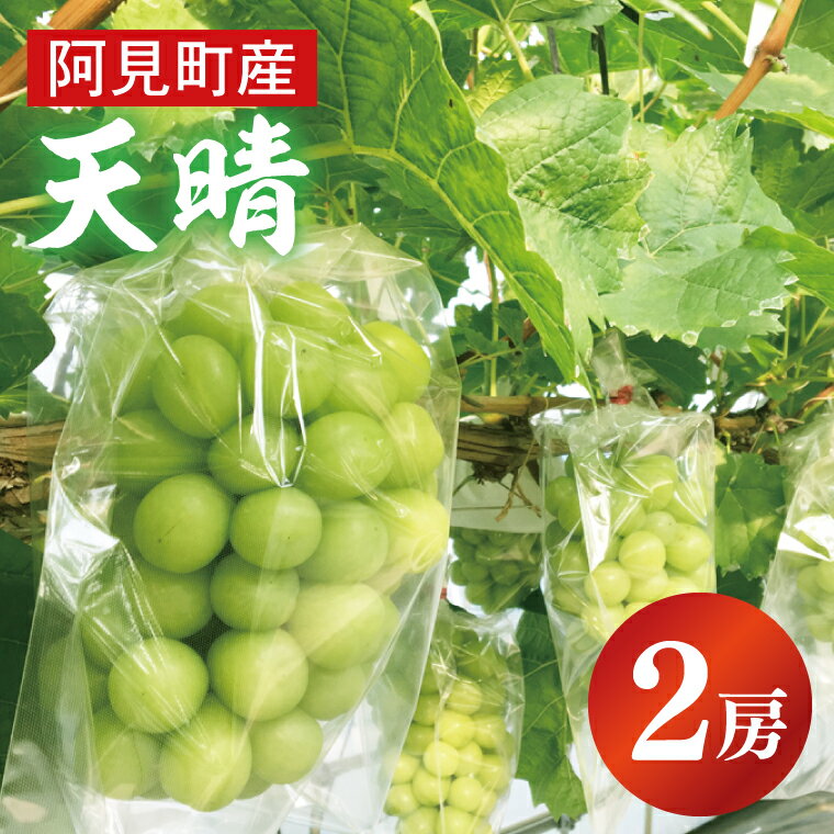 【ふるさと納税】【先行予約9月中旬発送】天晴（あっぱれ）2房【シャインマスカット 天山 葡萄 ぶどう ブドウ 果物 フルーツ】（07-01）