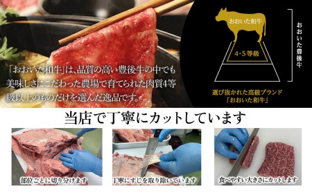 おおいた和牛 特選焼肉セット 600g | 焼肉 津久見市