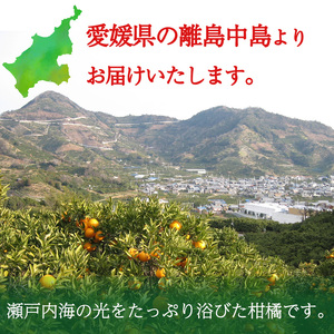 柑橘ジュース 720ml × 2本 愛果28号 不知火 詰め合わせ 【宇川農園】 【NS017】