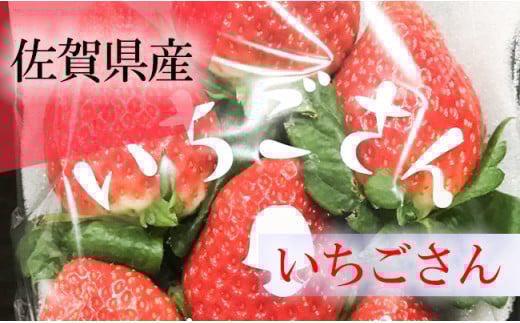 
いちごさん 4パック
