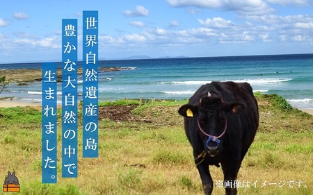 世界自然遺産の島。徳之島生まれ 5等級 鹿児島黒毛和牛 贅沢ロース焼肉 400g ( 5等級 鹿児島黒毛和牛 牛肉 ビーフ こだわり ロース 焼肉 BBQ 贅沢 こだわり 徳之島 奄美 鹿児島 世界自