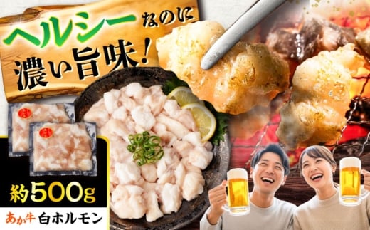 あか牛 白 ホルモン 約500g (約250g×2P) / 牛肉 褐毛和種 ホルモン 肉 九州産 国産牛 熊本県産 小分け あかうし 鍋 焼肉【五右衛門フーズ】 [BHCY009]