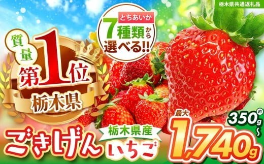 
                  【チョイス限定企画】【先行予約】6種類から選べる！とちあいか 350g~1740g 【栃木県共通返礼品】| いちご とちあいか 香貴 朝採れ 大粒 新鮮 甘い  数量 限定 美味しい 果物 共通返礼品 フルーツ デザート 栃木県 送料無料
                