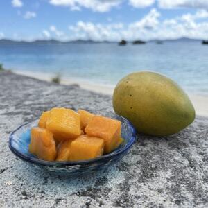 山城フルーツ園の冷凍3種マンゴー食べ比べセット(アップルマンゴー・キーツマンゴー・金蜜マンゴー)【配送不可地域：離島】【1662752】