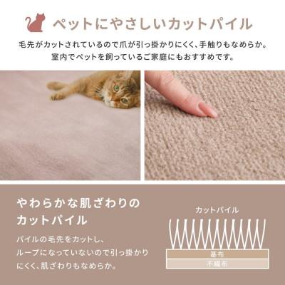 ふるさと納税 泉大津市 ペットにもやさしい　抗菌。防臭カーペット　江戸間6帖　1枚　アイボリー　600094660 |  | 01