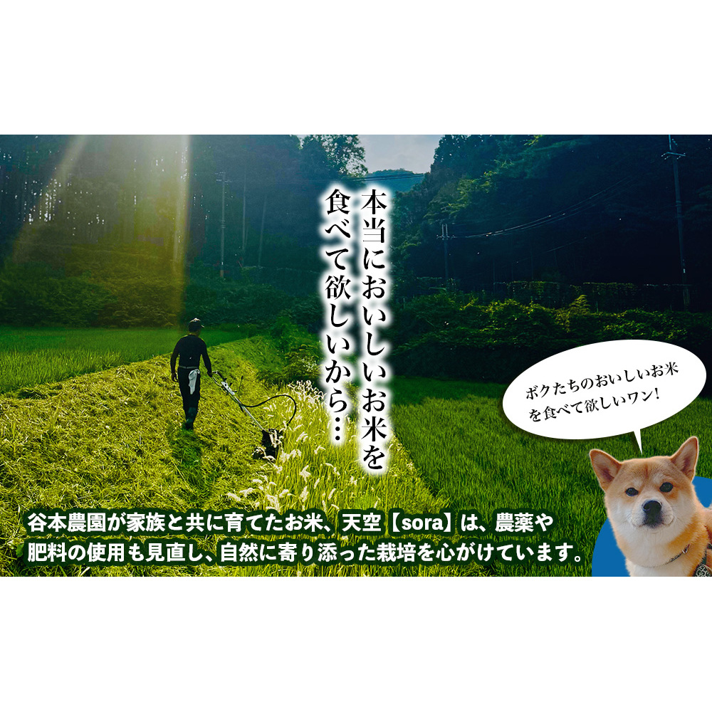 宇陀の自然が育てた 天空【sora】コシヒカリ 定期便 5kg×6回｜奈良県宇陀産 白米_イメージ4