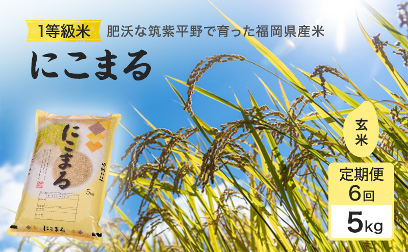 定期便 6回 米 1粒からこだわる1等級米 にこまる 玄米(5kg×6回） お米 コメ お楽しみ 6ヶ月 令和7年度産