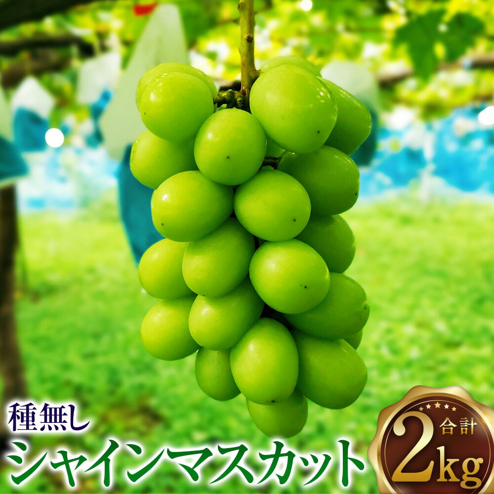 【ふるさと納税】＼レビューキャンペーン実施中／ 【配送地域限定】たっぷり日光を浴びたみずみずしい種無しシャインマスカット 2kg 山形県産 【2025年9月下旬～10月上旬発送予定】