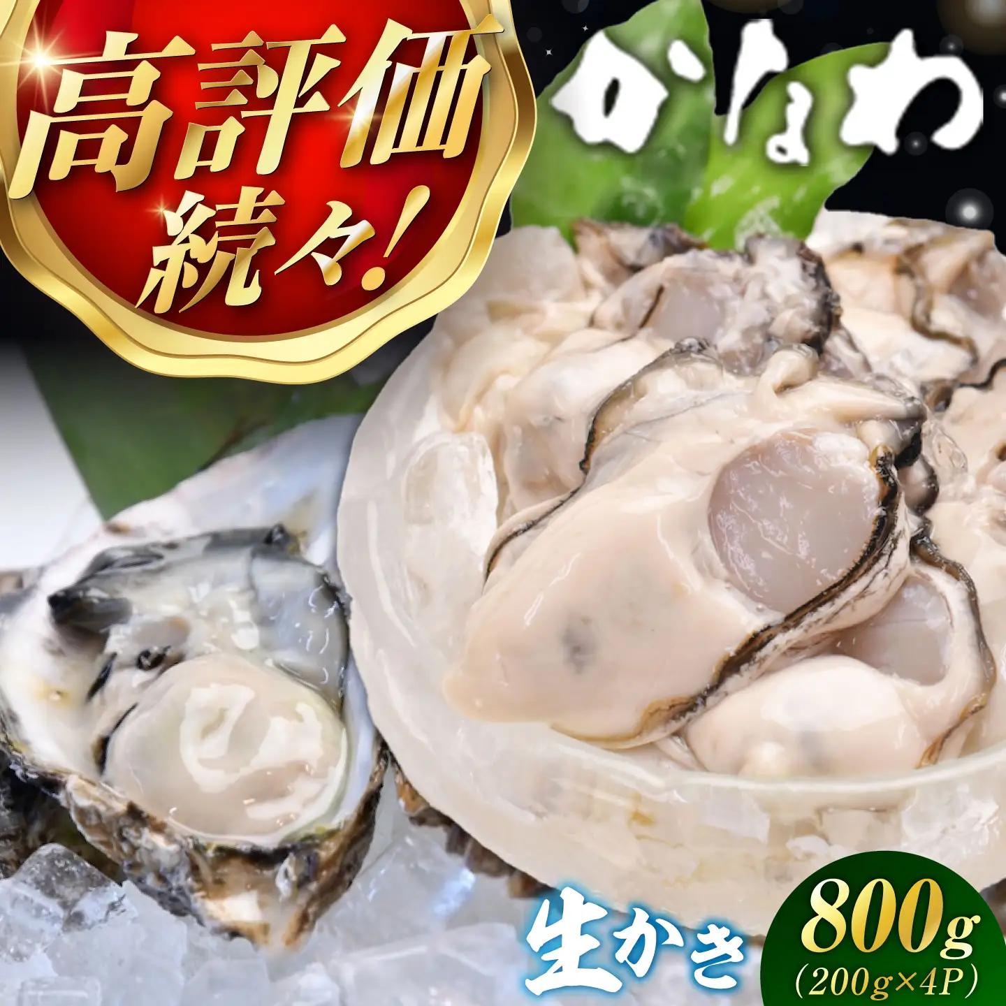 生牡蠣むき身800g 牡蠣[XBP003]