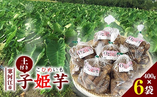 里芋 子姫芋（こひめいも）土付 2.4kg以上（400g×6袋） 山形 令和8年産 2026年産 【2026年9月下旬頃から11月上旬頃配送予定】　016-B-CS001