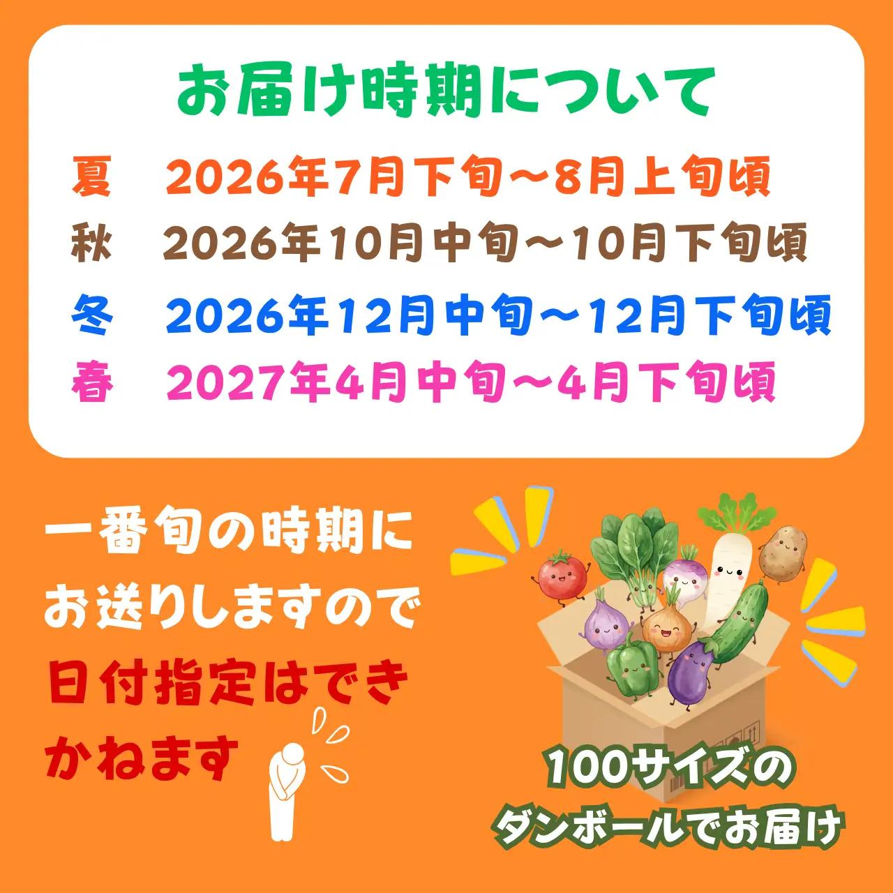 野菜 市場直送 おまかせ野菜セット