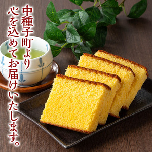 カステラ 4切れ × 3パック 種子島 郷土 【山田製菓本舗】n310