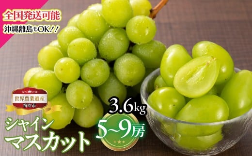 【2026年発送★先行予約】山梨県笛吹市産　シャインマスカット5房～9房 3.6kg 223-028-26y
