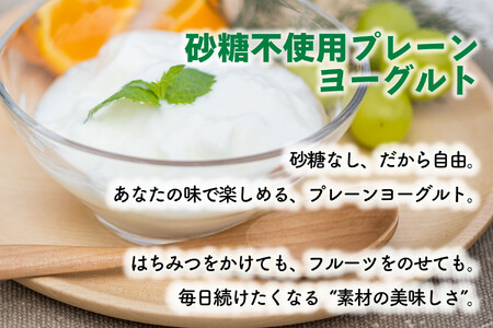 【12か月定期便】牧成舎のプレーンヨーグルト（砂糖不使用）12個入り ヨーグルト DF227