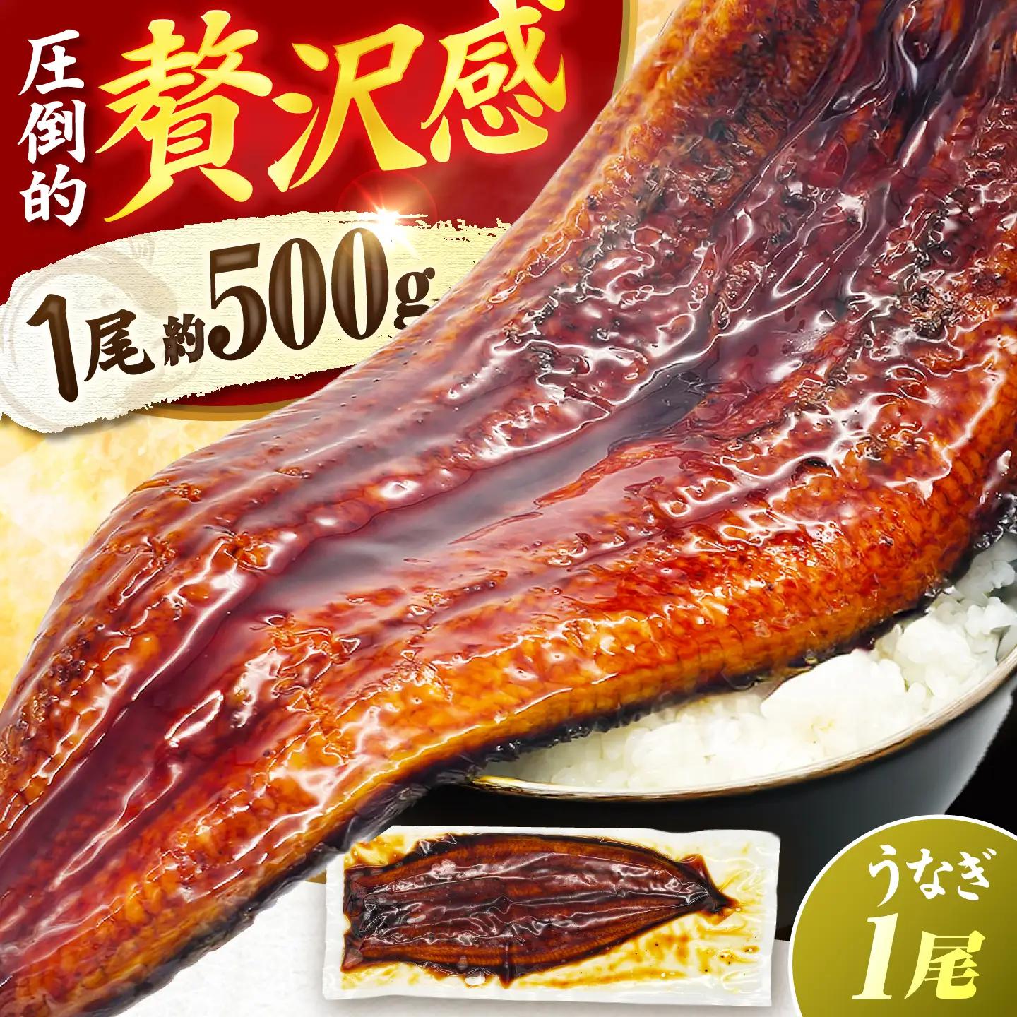 【1尾約500g】超特大うなぎ蒲焼×1尾　広川町 / 株式会社イールファクトリー[AFBS031]