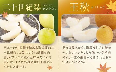 【先行予約】数量限定【定期便】鳥取県産 梨の食べ比べ 4種類コース