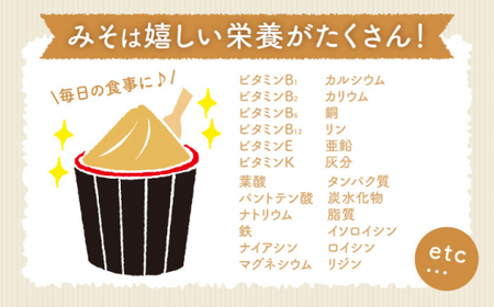手作り 玄米合わせ味噌 CDN050 味噌 自由研究