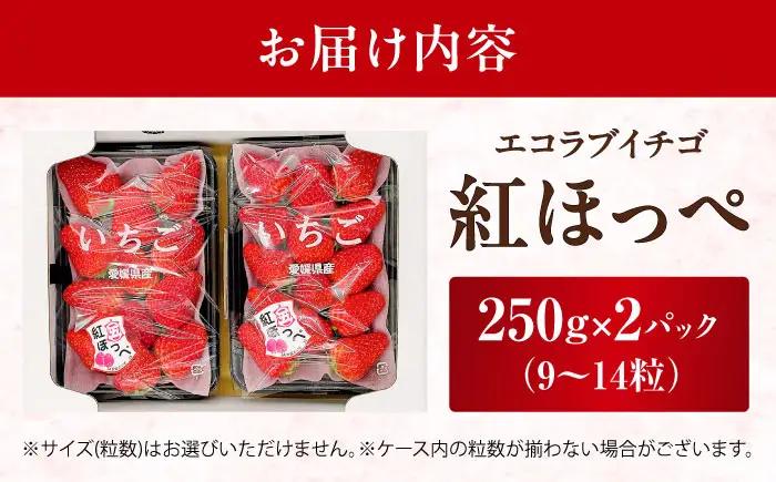 いちご 「紅ほっぺ」 2パック【株式会社フジ・アグリフーズ】BKAY001