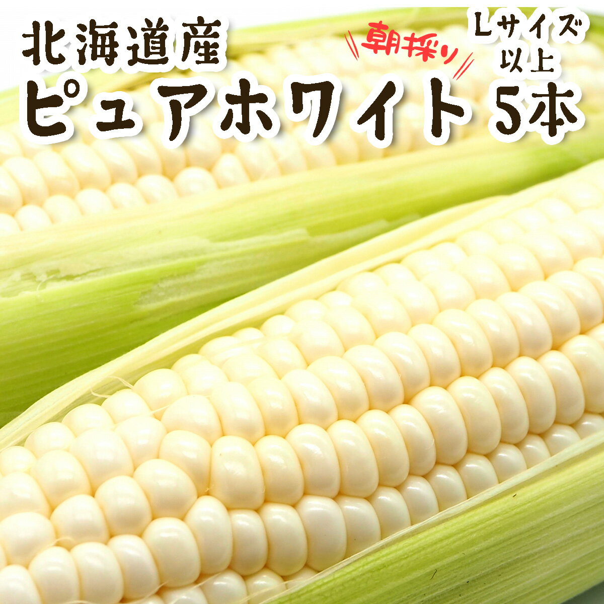 【ふるさと納税】 ＜ 10月上旬より発送開始 ＞ 北海道産 白い とうもろこし 5本 Lサイズ 以上 ピュアホワイト トウモロコシ とうきび コーン 白 ホワイト 生 甘い 期間限定 朝採れ 野菜 新鮮 冷蔵 北海道 新ひだか町 ＜ 予約受付 ＞
