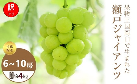 瀬戸ジャイアンツ 訳あり 岡山県産 瀬戸ジャイアンツ【約4kg 6〜10房】【冷蔵】【先行予約】
