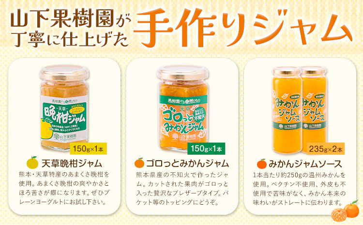 ジャム 手作り 詰め合わせ みかんジャムソース 235g×2本 天草晩柑ジャム 150g×1本 ゴロっとみかんジャム 150g×1本 計3種 計4本セット 《90日以内に出荷予定(土日祝除く)》 山下