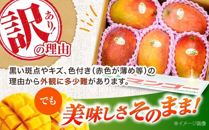 【 2026年発送 先行予約 】訳あり 完熟マンゴー 約3kg (約1.5kg (3〜6玉) ×2箱) マンゴー 2026 