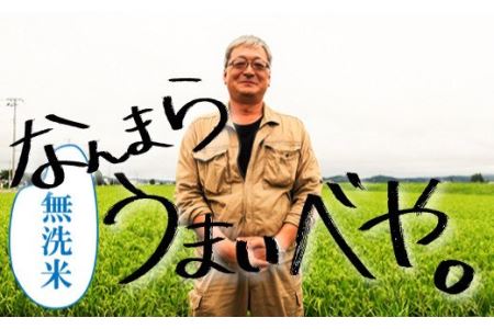 【無洗米12ヶ月定期便】特別栽培「きなうす米」北海道産ゆめぴりか10kg×12回