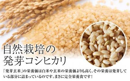 令和7年・新潟県産|JAS有機栽培アイガモ農法 コシヒカリ 発芽玄米 2kg