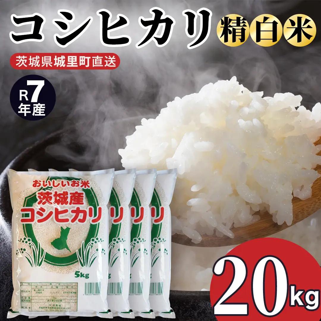 【令和7年産】 コシヒカリ 精米 20kg 令和7年産   (AX060)