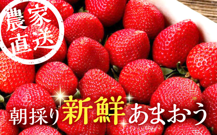 【2025年2月より順次発送】【全3回定期便】農家直送 朝採り新鮮いちご【博多あまおう】約270×2パック《築上町》【株式会社H&Futures】 [ABDG008] 27000円 2万7千円