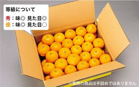 【☆先行予約☆】【限定30箱】西海１号（温州 みかん ）約 5kg （秀品/Sサイズ）＜西海柑橘農業協同組合＞ [CCF006]