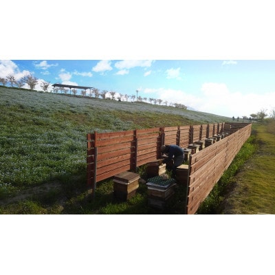 和泉市産純粋はちみつ いずみつ 140g【1663248】