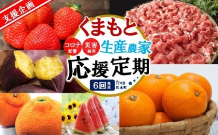 【定期便６回】支援企画！くまもと生産農家応援 定期便 ！ コロナ影響・災害被害 肉 野菜 フルーツ