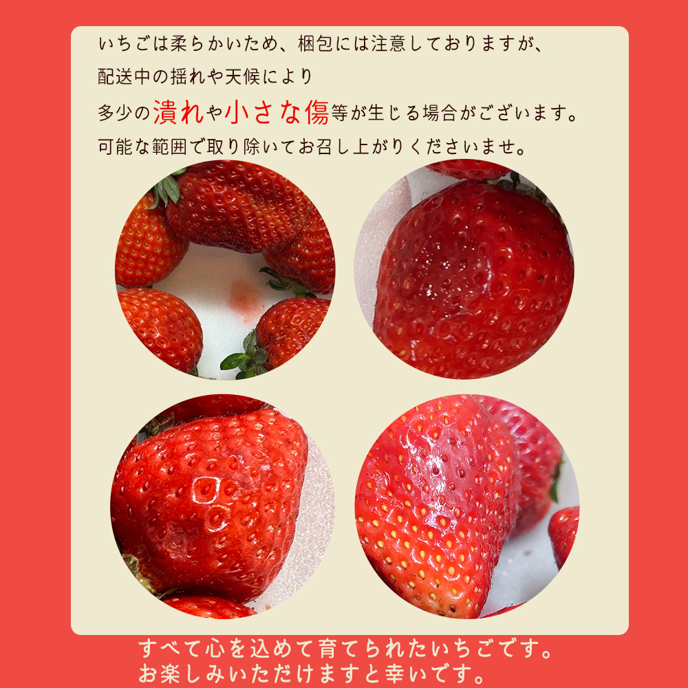 2S3-S 福岡県産あまおう【280g×2パック】