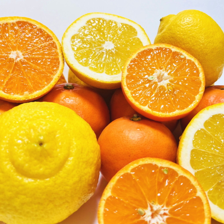 有田育ちの 旬の 柑橘 詰合せセット（ご家庭用）約5kg［先行予約］［MS64］