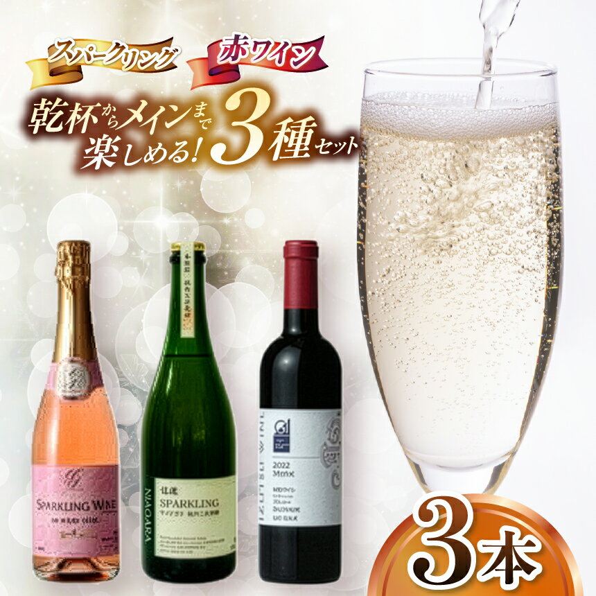 【ふるさと納税】乾杯からメインまで楽しめる特別セレクト はじめての塩尻スパークリング＆赤ワイン3本セット | ワイン わいん ワイン スパークリングワイン 赤 お酒 おさけ 酒 さけ メルロ ロゼ ナイアガラ 五一わいん 林農園 アルプス 井筒ワイン 塩尻市 長野県 信州