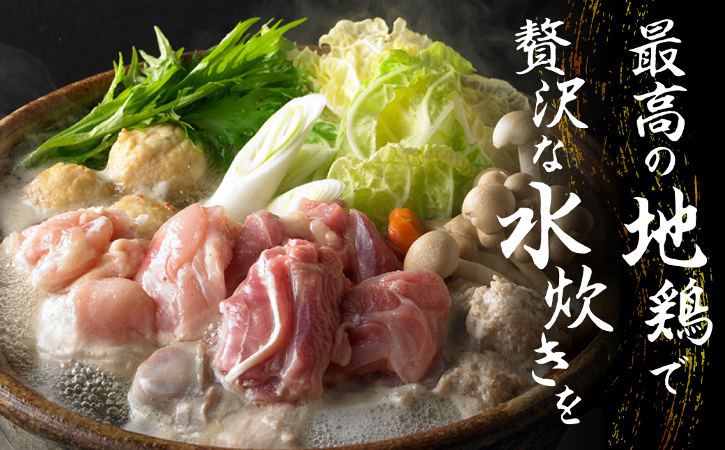 名古屋コーチン 水炊き鍋セット 具材 鶏三和 鍋 鶏肉 つくね だんご スープ 麺 セット 2〜3人前 冬限定 水炊き 期間限定 12000円  