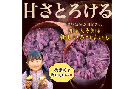 さつまいもオブザイヤー紅はるか部門全国1位のさつまいも農家がつくるサツマイモ3種食べ比べセット（紅はるか・金時・ふくむらさき）計約5kg