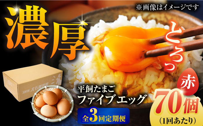 
            【全3回定期便】【箱入り】平飼たまご ファイブエッグ M～Lサイズ 70個 / 5EGG 卵 赤玉子五島市 / 五島列島大石養鶏場 [PFQ029]
          