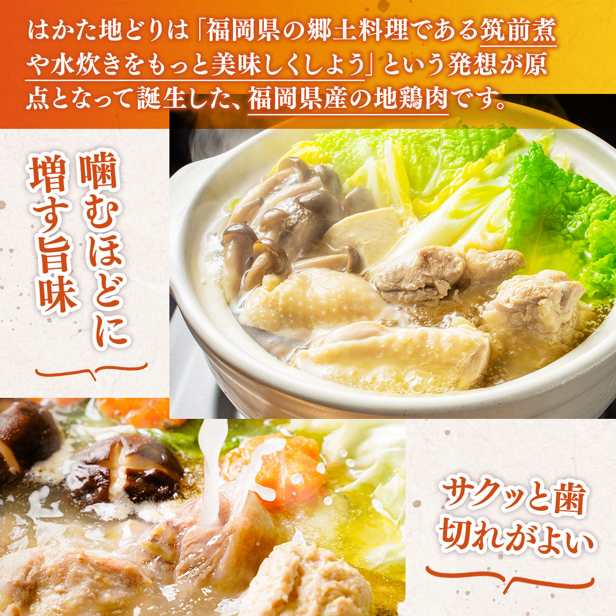 はかた地どり 水炊き 3～4人前 セット [MEAT PLUS 福岡県 宇美町 um40azp010032] 鍋 博多 鶏鍋 水炊 地鶏 博多地鶏 はかた地鶏 博多地どり