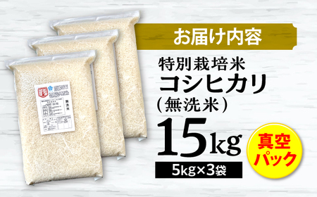 特別栽培米コシヒカリ 真空パック白米（無洗米）15kg（5kg×3袋） お米 こしひかり ご飯 コシヒカリ おこめ 三次市/小川モータース[APCH005]