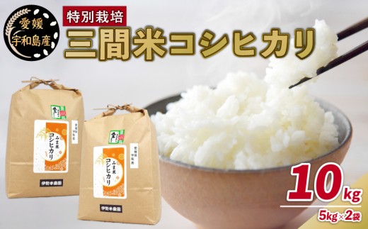 令和8年産 新米 特別栽培米 三間米 コシヒカリ 計10kg 5kg × 2袋 伊勢本農園 特別栽培 米 お米 おこめ ごはん こめ コメ ※ kome 白米 精米 お弁当 ブランド米 ふっくら ツヤツヤ ライス 農家直送 産地直送 数量限定 国産 愛媛 宇和島 G030-146002